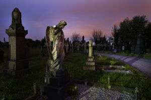 _june 2017 undercliffe cemetery 3.jpg